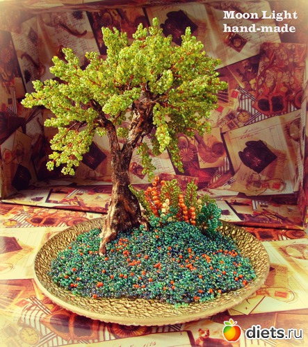 13 ����: �����������:)