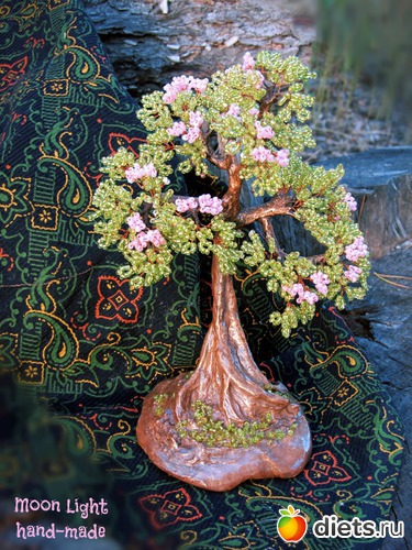 15 ����: �����������:)