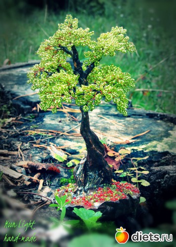 16 ����: �����������:)