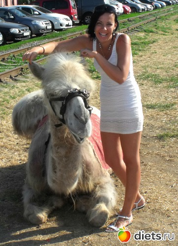 ���� 2014, ������: �