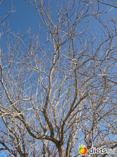 98 фото: Природа...