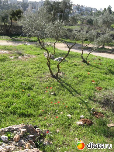 102 фото: Природа...