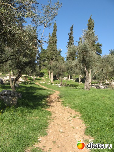 108 фото: Природа...