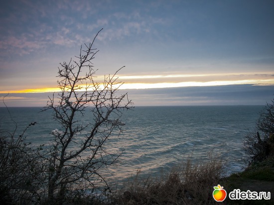 Геленджик, 31 января 2015г., альбом: Мои выходные. Всегда разные