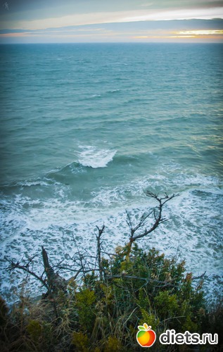 2 фото: Мои выходные. Всегда разные