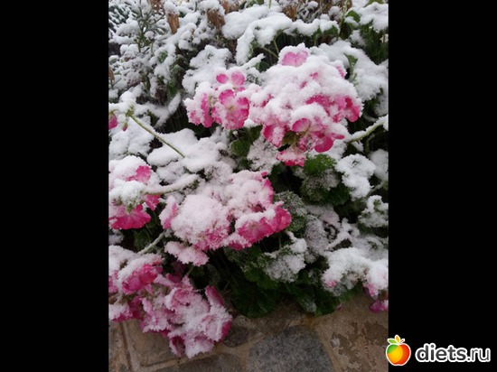 Арад, альбом: Израильская зима 2015 год .