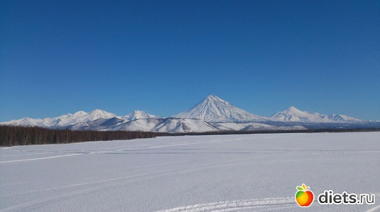 18 ����: ��� ������ ��������