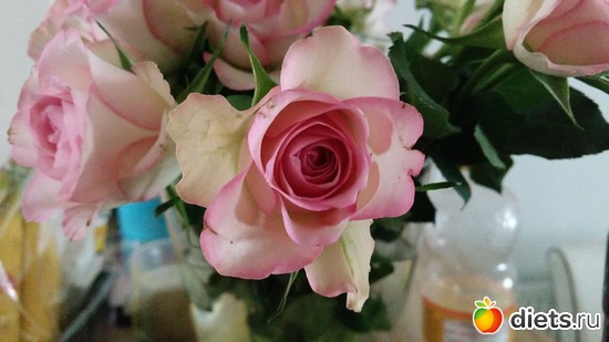 8 фото: Правильное питание с Натулиной кастрюлей