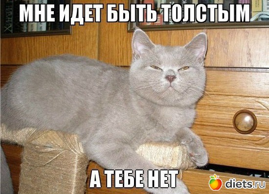 2 ����: �������