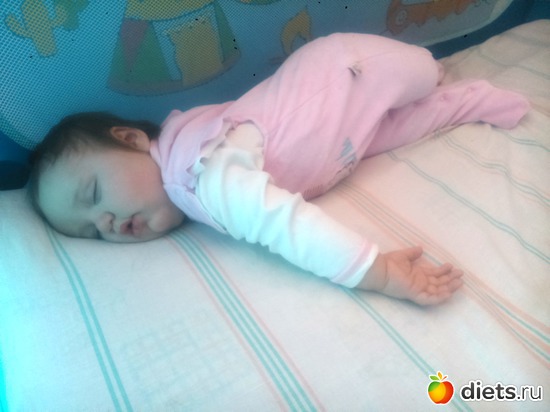 расплющщилась, альбом: семья