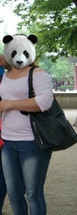 ����� 13. � ���� ����������.