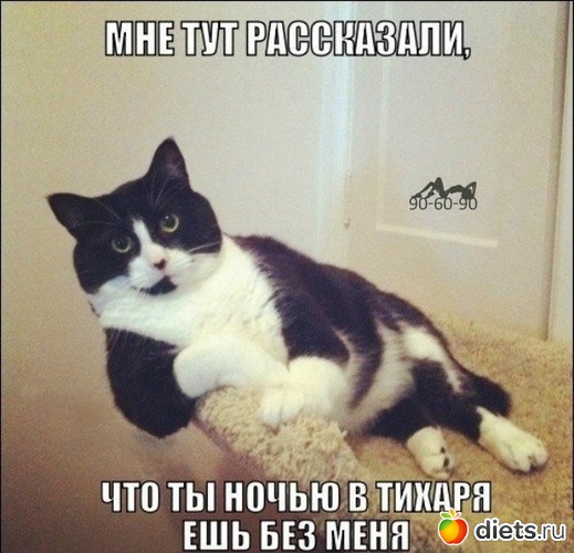 3 ����: ���...��� � ��������!!!!