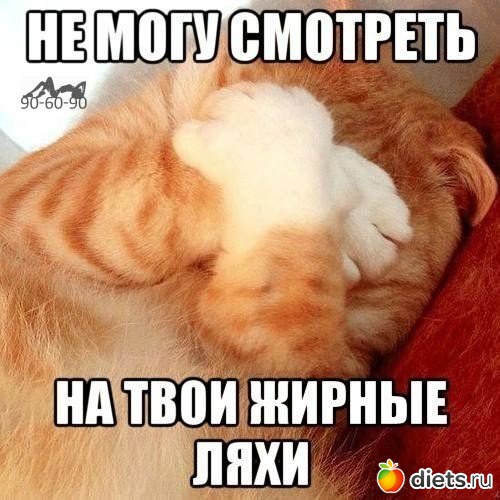 4 ����: ���...��� � ��������!!!!