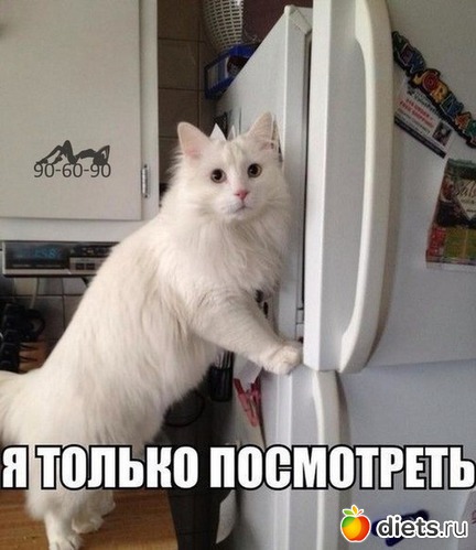 9 ����: ���...��� � ��������!!!!