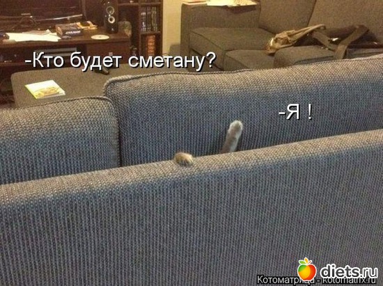 11 ����: ���...��� � ��������!!!!