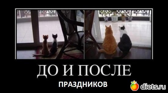 12 ����: ���...��� � ��������!!!!