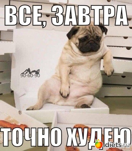 2 ����: ���...��� � ��������!!!!