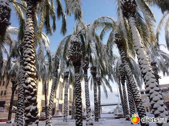 9 фото: Израильская зима 2015 год .