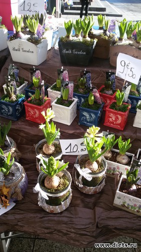 8 фото: Разное