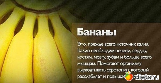 5 ����: ������