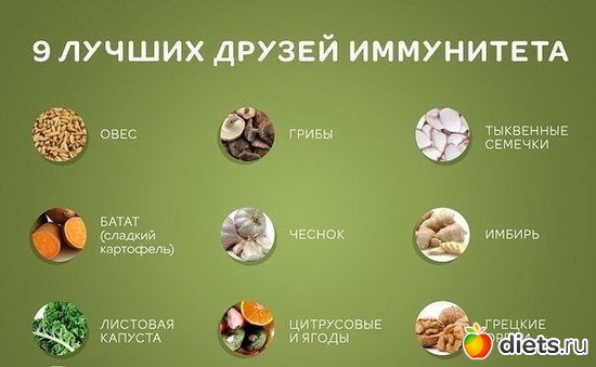 10 ����: ������
