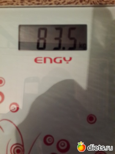 33 ����: ����