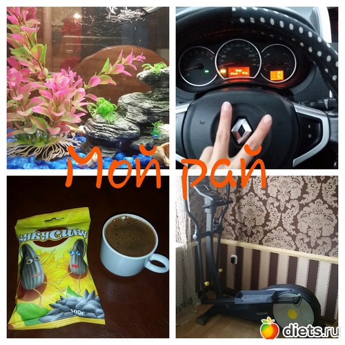 ��� ���)), ������: �