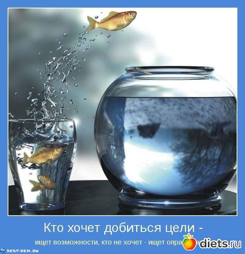 23 ����: ������