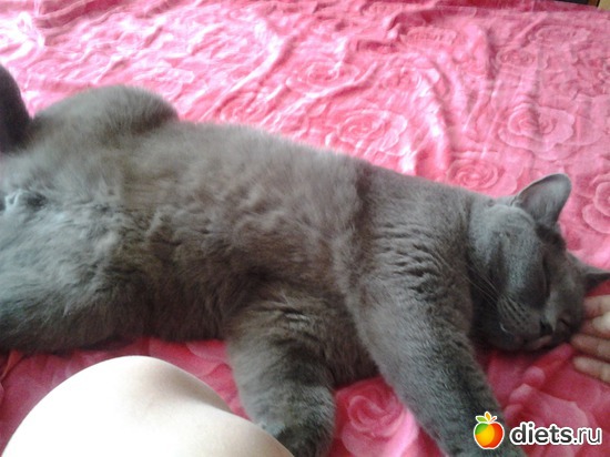 21 фото: фото