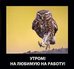 Почему я не на фрилансе