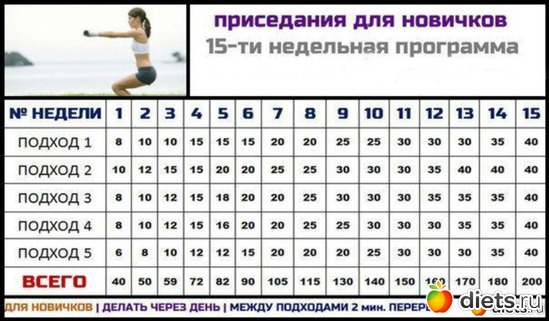 5 ����: ����������
