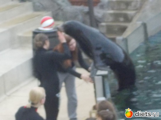 22 фото: Маленькая столица "Большой Провинции"