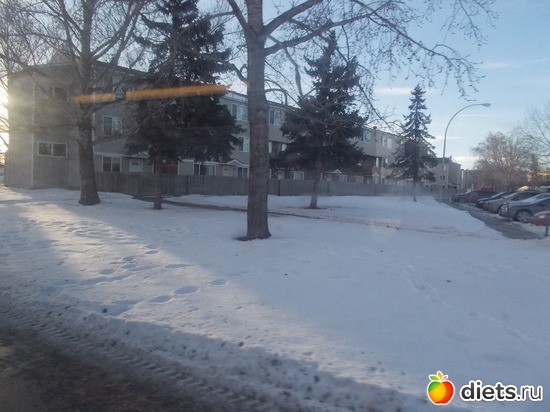 25 :      &quot;  &quot;