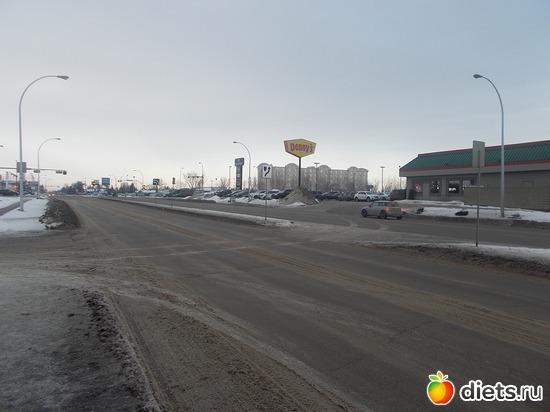 5 :      &quot;  &quot;