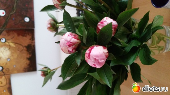 25 ����: �����