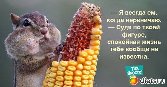 9 фото: С понедельника возьмусь: 12 веселых открыток о том, как нелегко вести здоровый образ жизни.