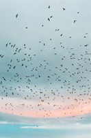 Понравилось очень