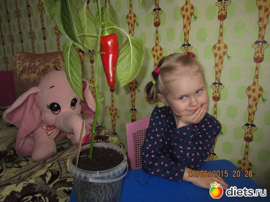 6 фото: Мой первый перчик!