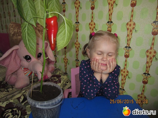 &quot;?......&quot;, :   !