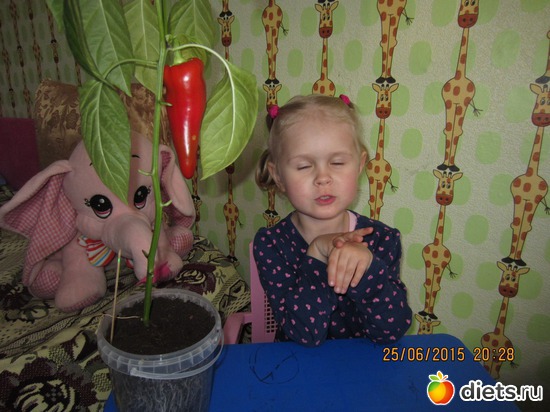 8 фото: Мой первый перчик!