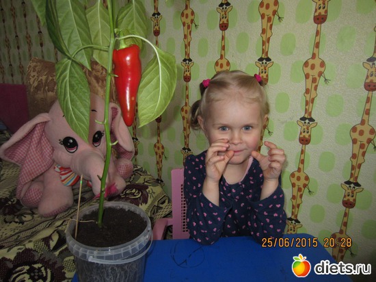 &quot;  ...!!!&quot;, :   !