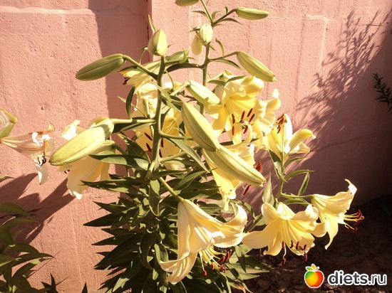 23 ����: ��� ��������