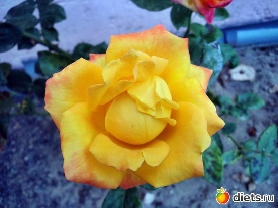27 ����: ��� ��������