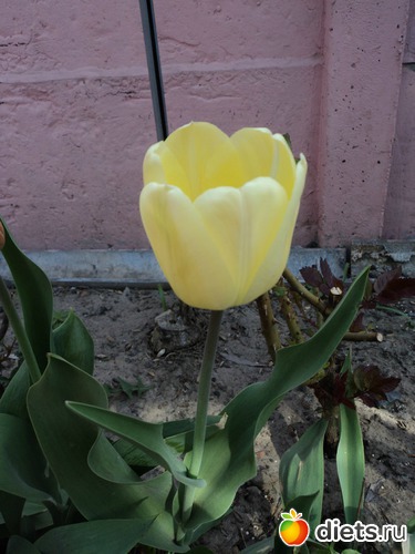 30 ����: ��� ��������