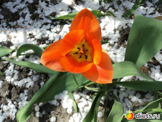 31 ����: ��� ��������