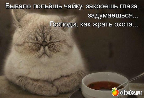 11 ����: Yps....)