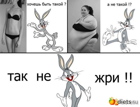 4 ����: ���������