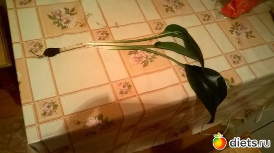 18 ����: ������... � �� ������...