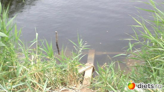 4 фото: Прогулки по окрестностям