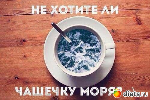 магнитный флешмоб